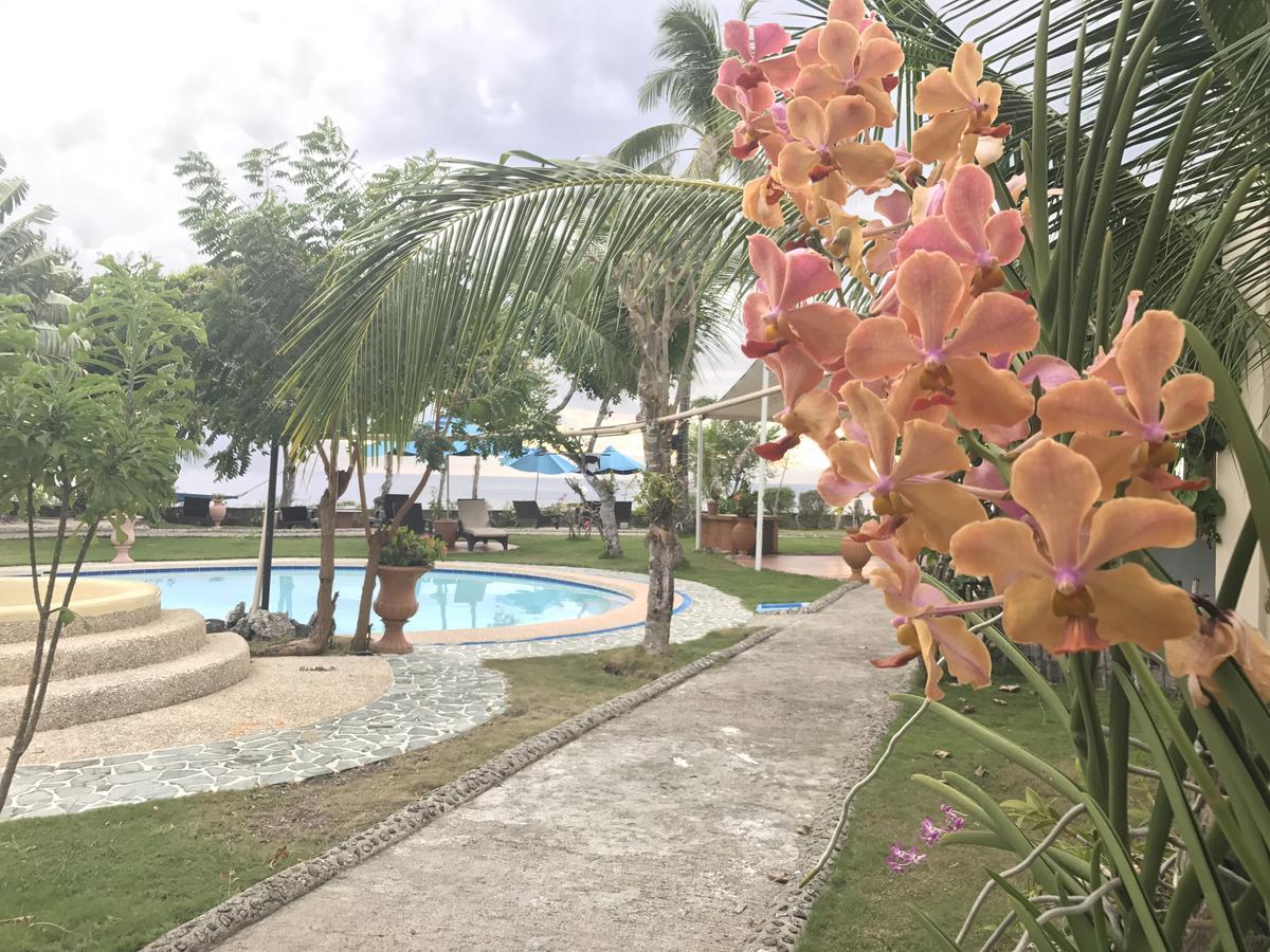 Cabilao Sunset Dive & Beach Resort Loon Exteriör bild